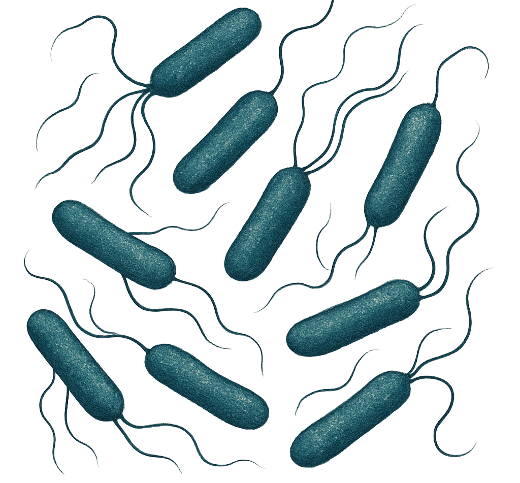 Hydrating Fluid for Pseudomonas - 1.2 ml